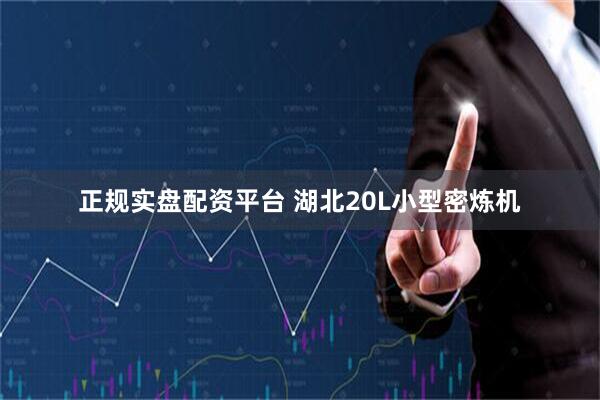 正规实盘配资平台 湖北20L小型密炼机