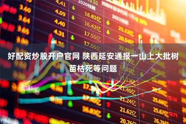 好配资炒股开户官网 陕西延安通报一山上大批树苗枯死等问题