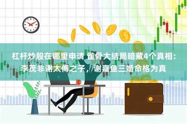 杠杆炒股在哪里申请 雀骨大结局暗藏4个真相：李茂非谢太傅之子，谢嘉鱼三婚命格为真